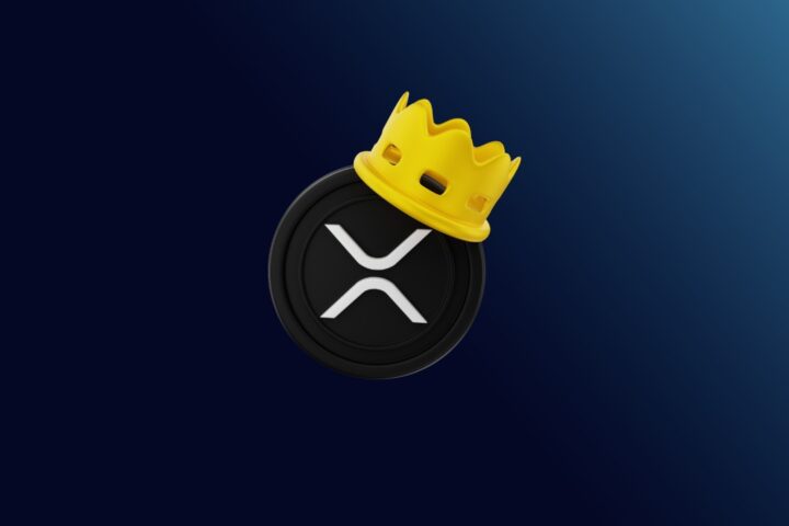 XRP Milioneri